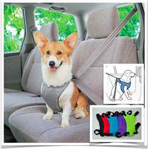 dog restraint harness
