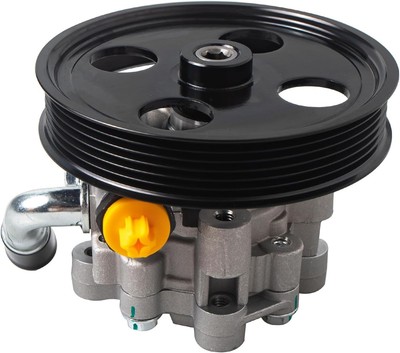 21-5223 New Power Steering Pump (For 3.3L/3.8L;RS Body Code) Fit For 