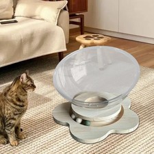 Space Capsule Bed Cat Bed Breathable Transparent Four Seasons Universal Stable