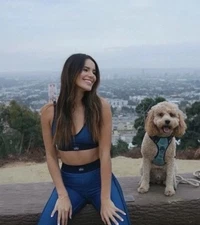 alo Airlift High-Waist 7/8 Line Up Legging Eclipse Blue Size S Firmed Price 