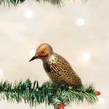 Old World Christmas - Northern Flicker - 18076