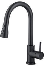 Hasvreog kitchen pull-down faucet with high arc spout dual function spray head