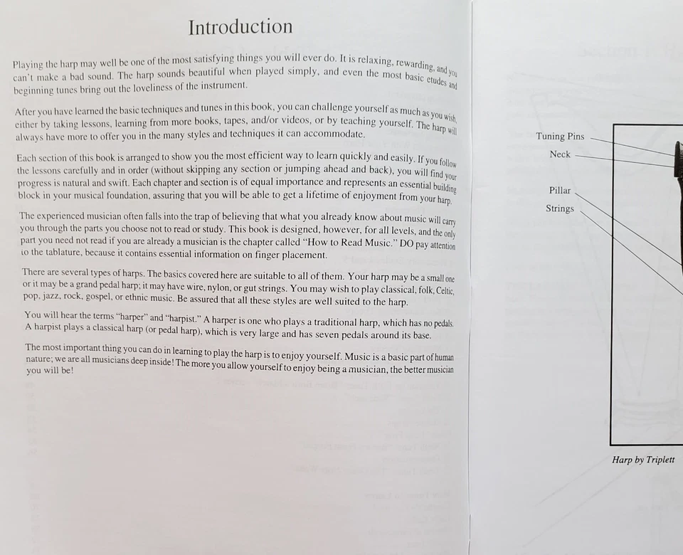 Harp Basic For Beginners Lessons Songs Sheet Music Songbook - Image 3 of 4