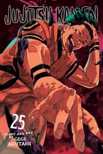 Jujutsu Kaisen, Vol. 25: Volume 25 by Gege Akutami