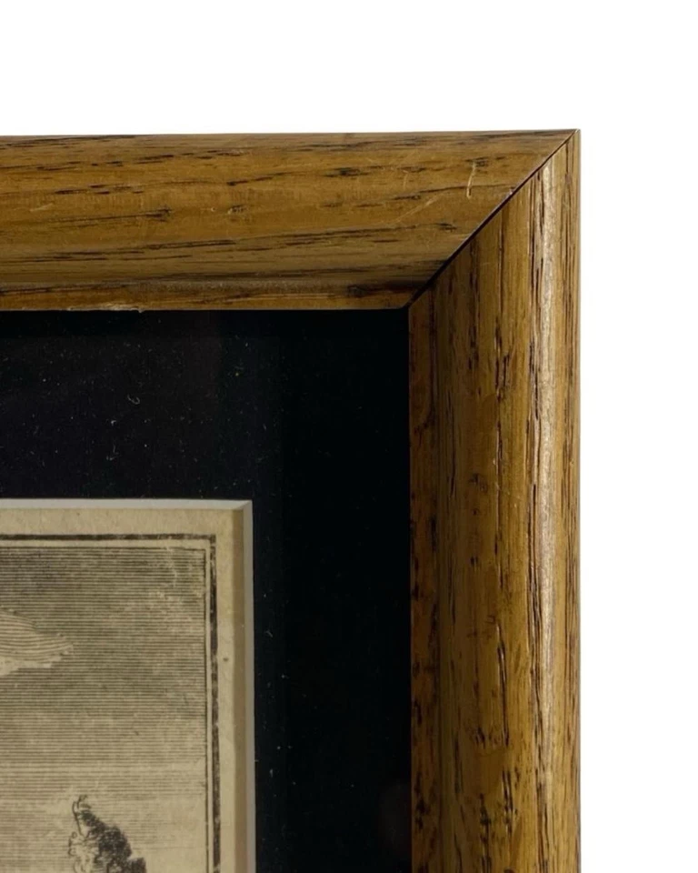 Creite & Fiteau 1731 grabado de juegos de entierro y ceremonia iroqueses Foto 4 de 4