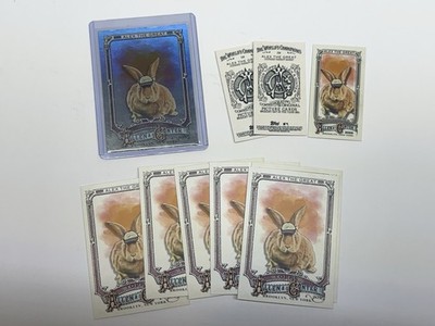 2025 Topps Allen & Ginter (x10 LOT) Alex the Great Cards Therapy Bunny ...