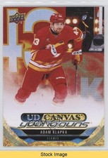 2024-25 Upper Deck Series 2 UD Canvas Young Guns Adam Klapka #C221 READ 1t8t