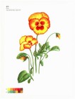 Bild 12 von 12