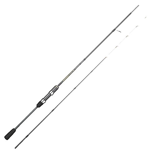 Tenryu Power Master Heavy Core PMH100HH Jigging Rod #PB10592 | eBay