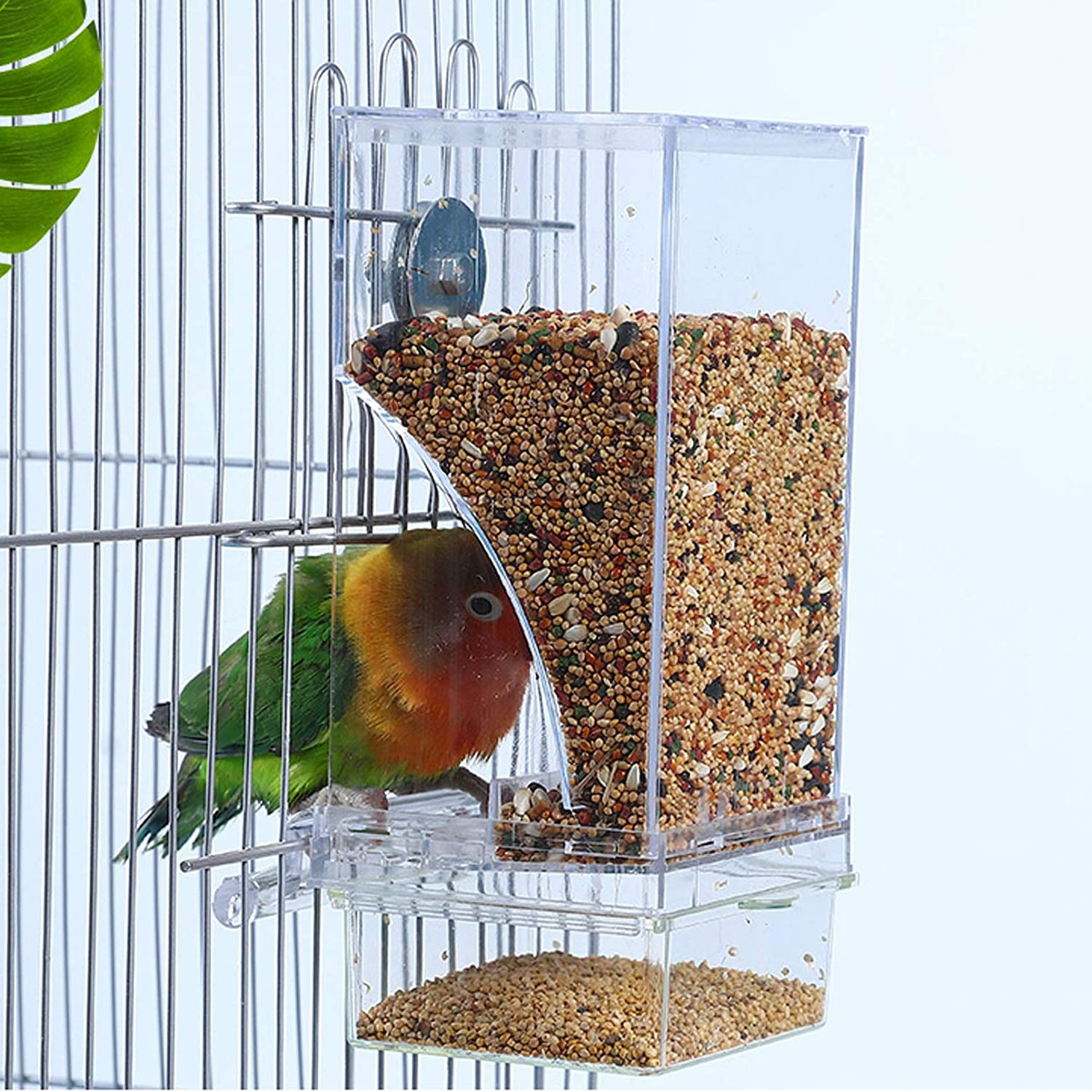 Feeder Automatic Parrot | No Mess Bird Cage