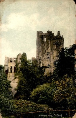 Blarney Castle, Co. Cork, Lawrence Publisher, Dublin Postcard