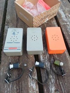 3 Deben Ferret Finders With Leather Collars