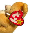 Bild 8 von 13