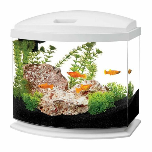 10 Gallon Petco Small Fish Tanks Petco Fish Aquarium Gallon Fish