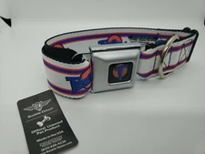 Buckle Down Seatbelt Dog Collar Looney Tunes Tune Squad Space Jam Med 11-17" New