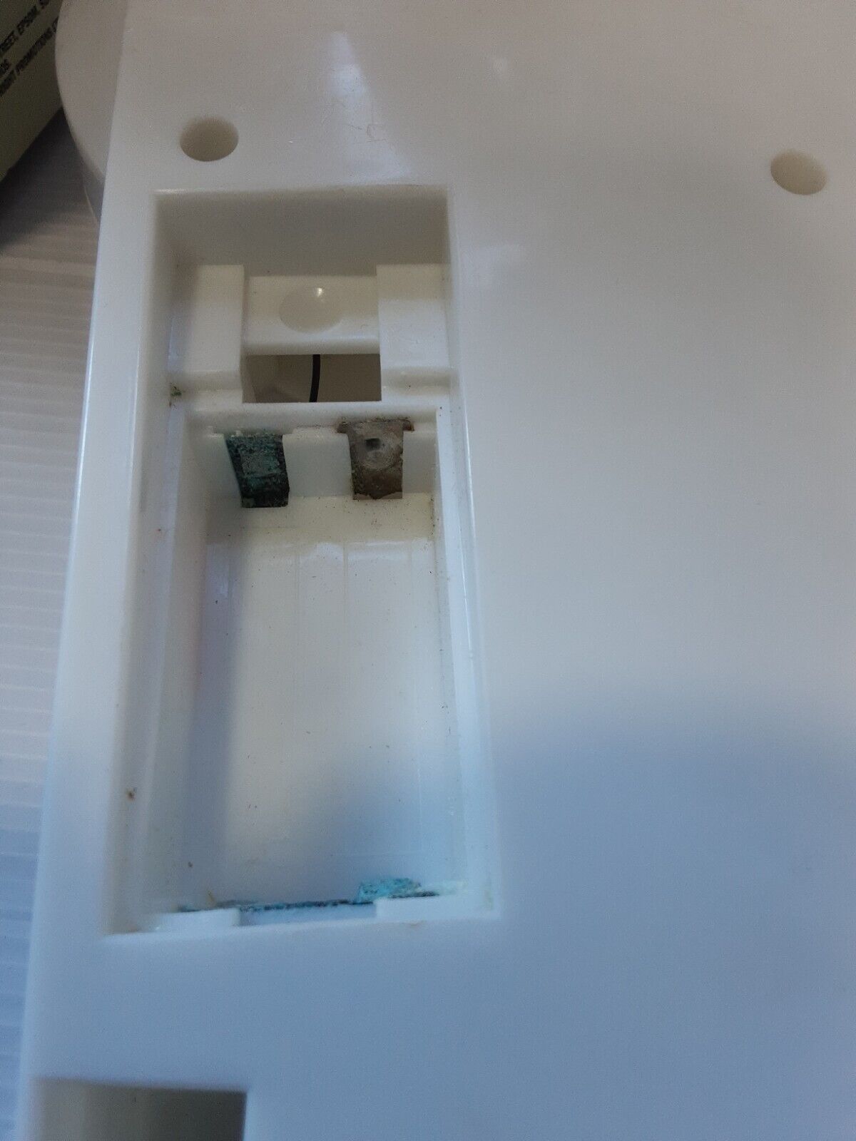 Picture 8 of 8