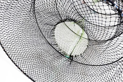 Carrello Rovinato Jogger Reti Da Pesca In Vendita Amazon Decimale Abbandono Lava - Foto 10