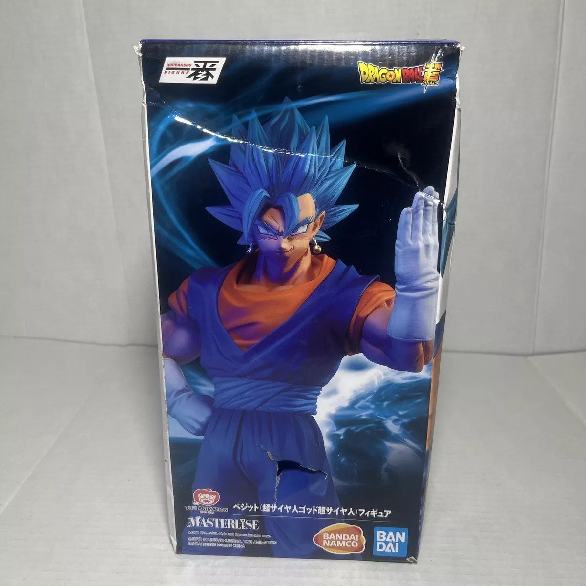 Vegetto Super Saiyajin Blue - Vegito DBZ Photographic Print for