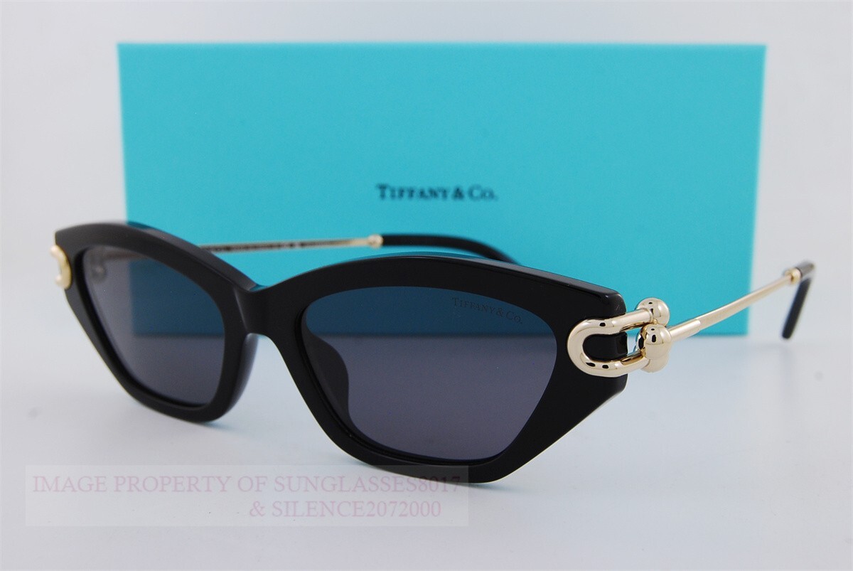 Brand New Tiffany & Co. Sunglasses TF 4231U 800181 Black/Polarized
