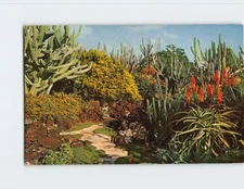 Postcard Moir's Pa'u-a-laka Gardens Koloa Kauai Hawaii USA