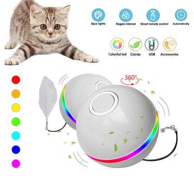 remote control ball for cats