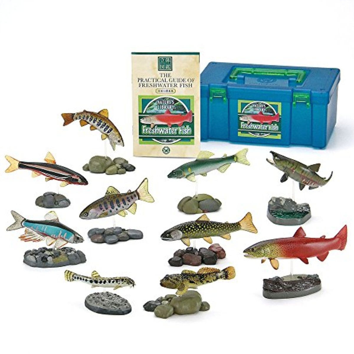 Sambonet FISH CATTLE サンボネ フィッシュケトル ITALY 高級調理器具 Sambonet サンボネ フィッシュケトル イタリア製