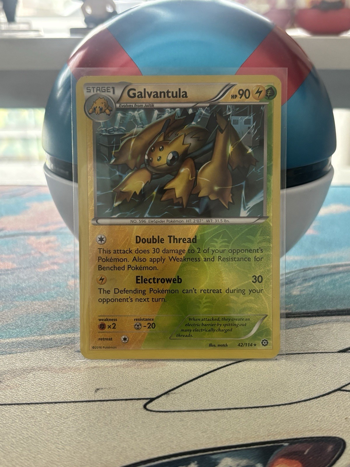Galvantula 42/114 XY Steam Siege Pokemon Reverse Holo LP