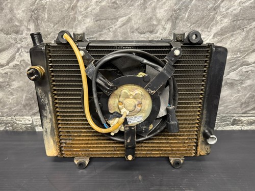 OEM Kawasaki Prairie Radiator Assembly 650 700 2002-2004 39060-0008