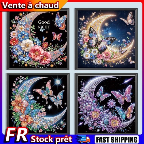 5D DIY Partial Special Shaped Drill Diamond Painting Crescent Butterfly ...