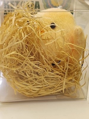 Hetalia Axis Powers APH Phone Plush strap Doll Prussia Bird Gilbird Figure