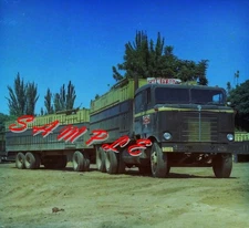 8X10 color semi-truck photo  -  Bullnose KW livestock CHANLEY BROS