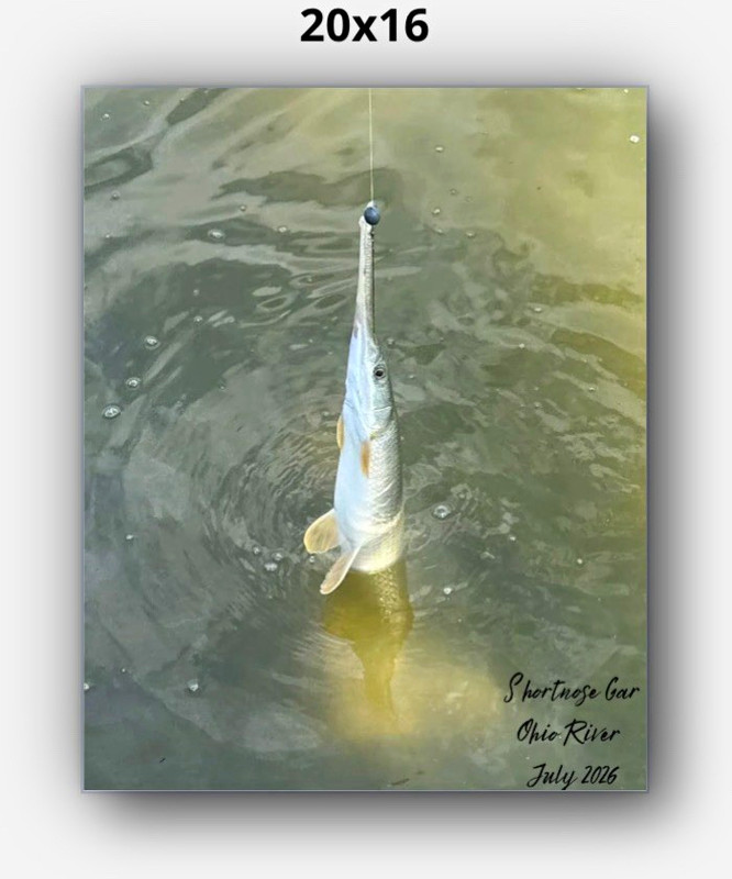 20x16 Canvas Fish Catch Photo Print, Ohio River - July 2026 Fishing Catch Print