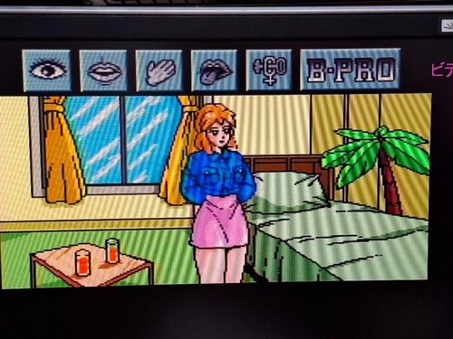 SHIAWASE USAGI PC Engine PCE 1993 NTSC-J NEC Adventure Spiel Alter 18+ Japan GEBRAUCHT - Bild 15 von 15