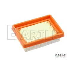 Filtro Aria Decespugliatore OLEOMAC 446 BP - 453 BP - 746 - 753 - 755 ORIGINALE