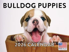 Bulldog Puppy Calendar 2026 Monthly Wall Calender 12 Month