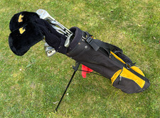 Ladies Golden Bear Titanium Full Set with bag - 3-S irons plus 1/3/5 woods