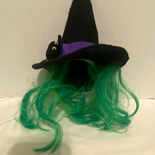 The Great Pretenders Witch Hat w/ Green Wig Black Purple One Size