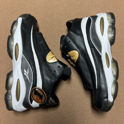 allen iverson dmx 10