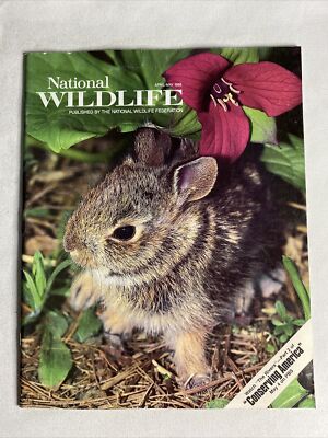 1988 April-May, National Wildlife Magazine, The Great Montana Bear Binge (MH589)