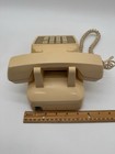 Foto 11 di 12