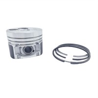 Kolben + Kolbenring-Satz (Std - 75,00 Mm): Passend FüR Lombardini / Ldw 702 / Ld