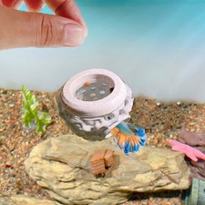 Natural Style Aquariums Cave Hollows Shelter For Fish Exploration And Protecting