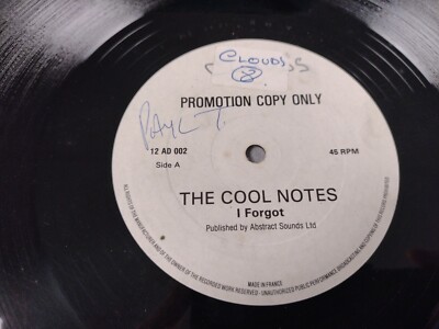 The Cool Notes - I Forgot (12'', Promo) White Label Baby I Just Want It