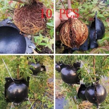 10Small Plant High Pressure Box Grafting Rooting Growing Device Propagation Ball