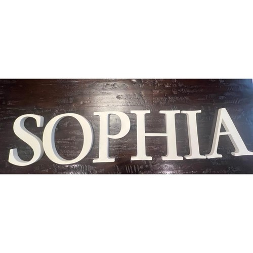 Pottery Barn Kids Wall Letters “SOPHIA” off white 8”