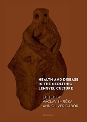 HEALTH & DISEASE/NEOLITHIC LENGYEL CULTU by Vaclav Smrcka Paperback Self Help