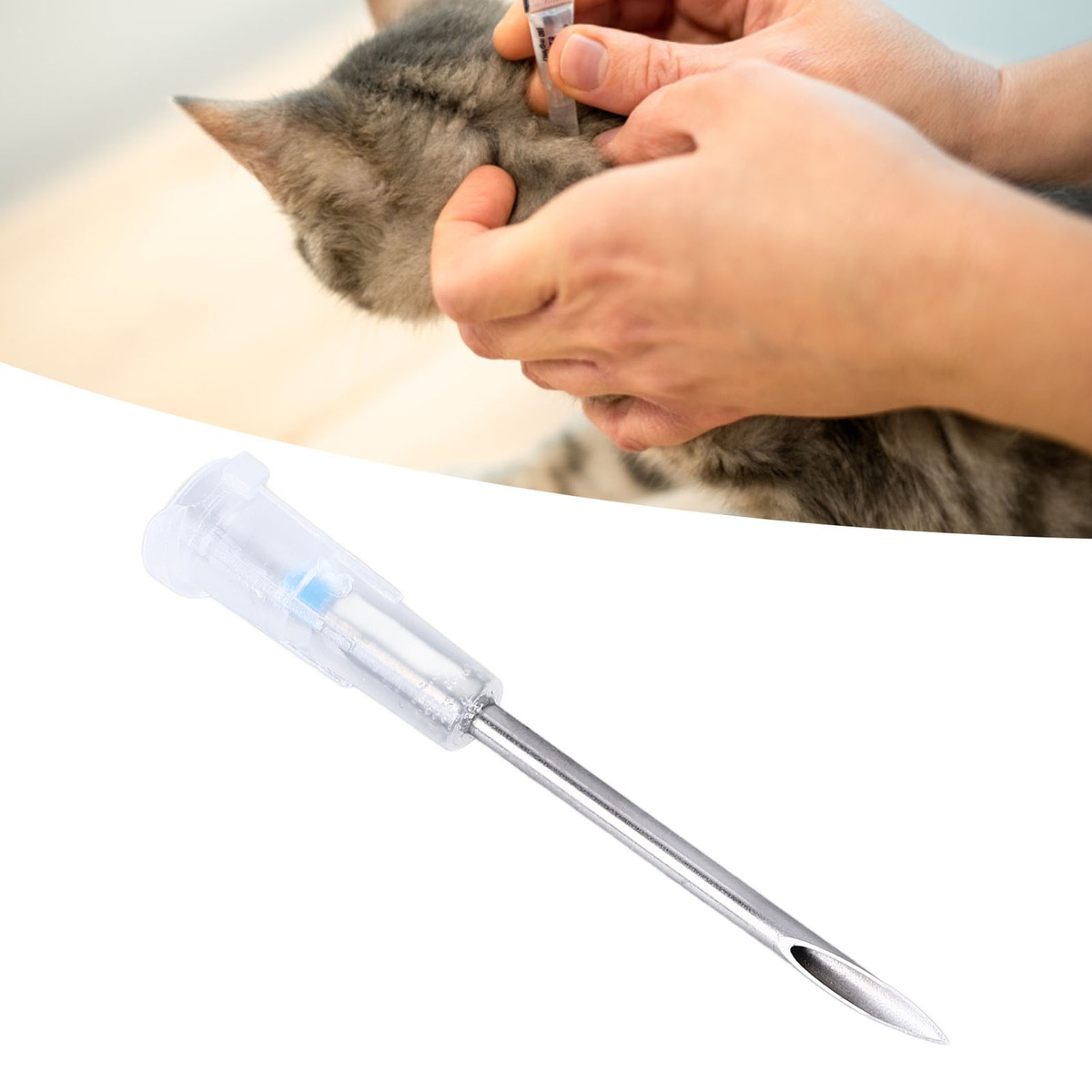 Pet Microchip Small Size Accurate Implantation Pet ID Microchip X 12mm  Fit