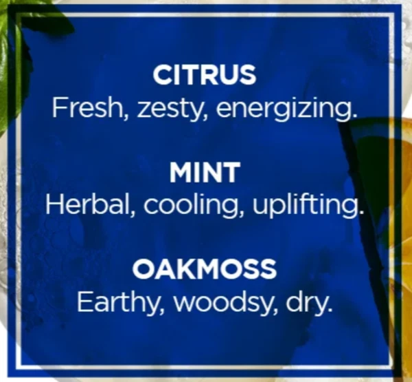 NUEVO Jack Black lavado integral sin sulfato para rostro, cabello y cuerpo botella de 16 OZ Foto 3 de 3