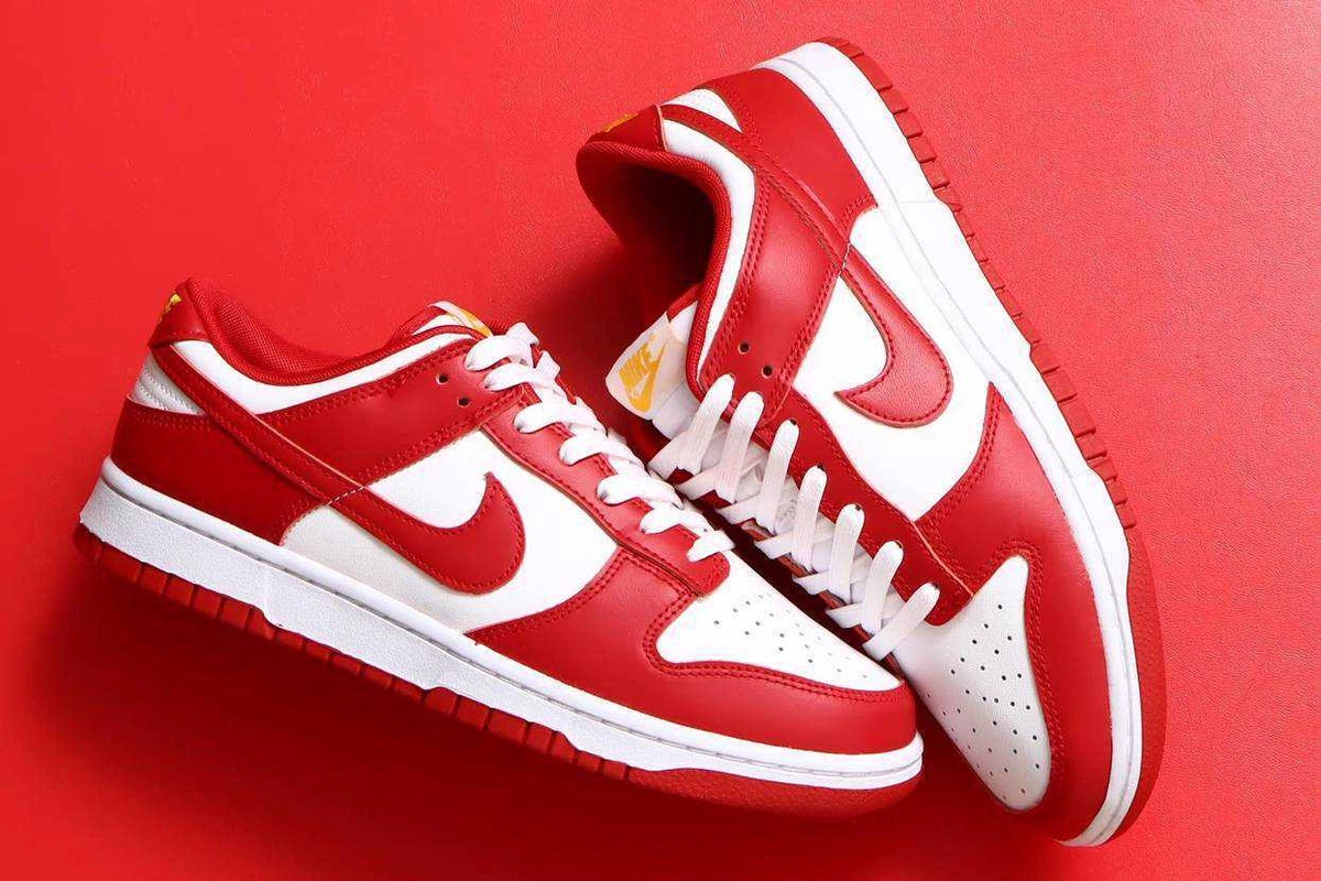 Nike Dunk Low ダンクロー ジムレッド DD1391-602 | www.fortischennai.com