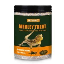 Dried Mealworms and Dried Crickets - Higher in Calcium and Richer in Protein-...